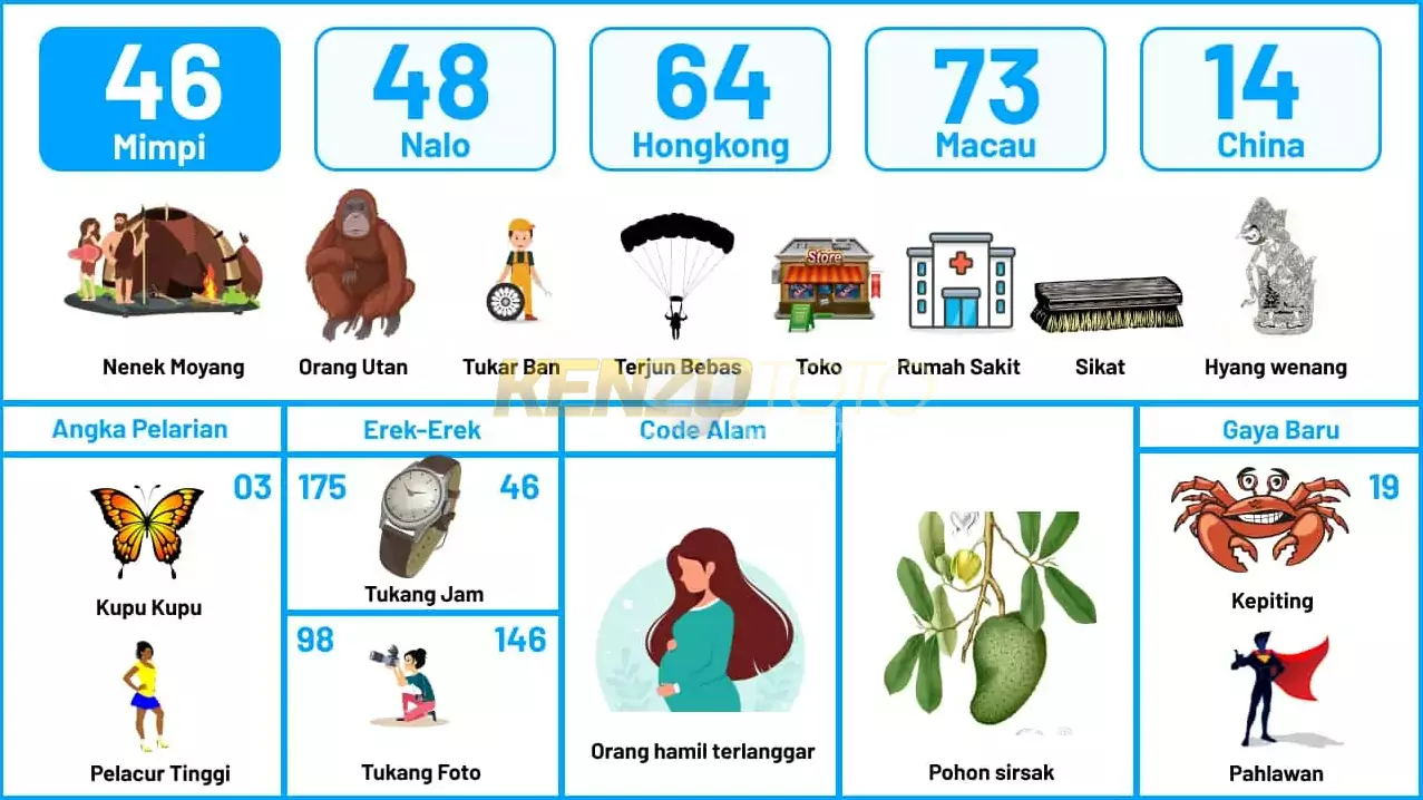 buku mimpi erek erek togel 46